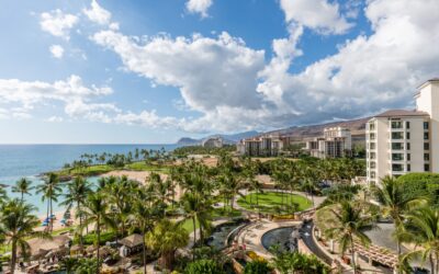 Maintaining Government Roofs in Honolulu